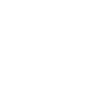 LINGONBERRY